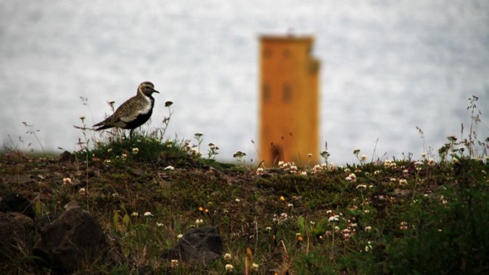 Husavik