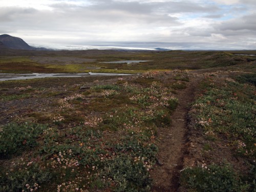 Links, zwischen einer der Múlakvísl und dem Þjórsárjökull, die Efri-Arnarfellsmúlar. Rechts, inklusive Reitspur, die Fremri-Arnarfellsmúlar.