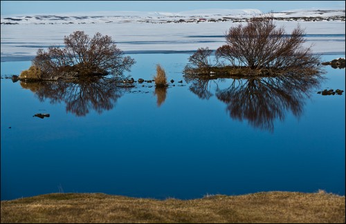 am Ufer des Myvatn